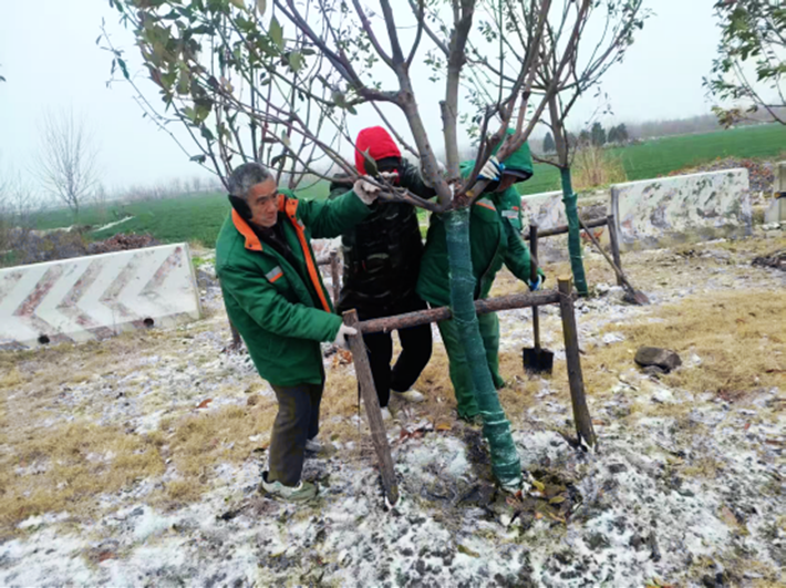 園林綠化中心全力做好雨雪寒潮天氣下的清理工作320.png