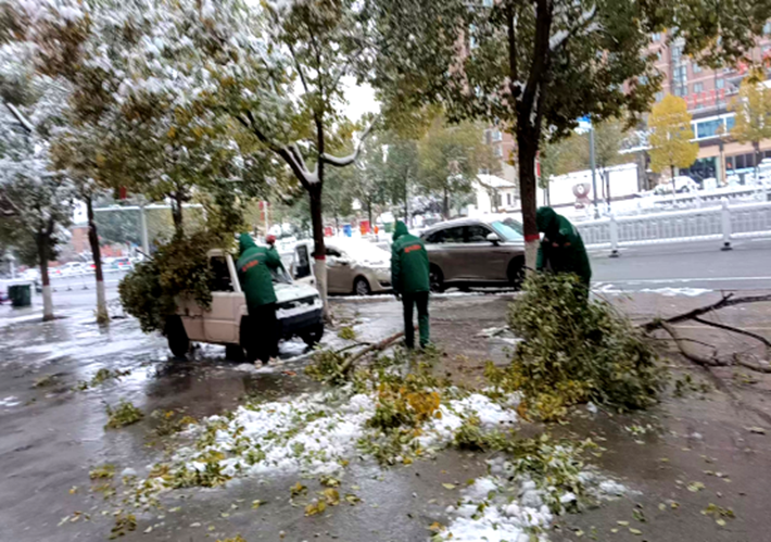 園林綠化中心全力做好雨雪寒潮天氣下的清理工作409.png