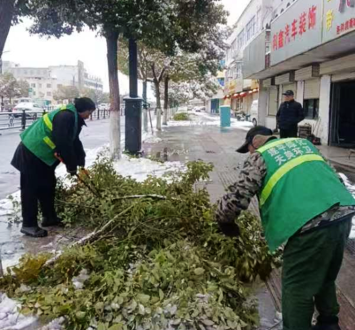 園林綠化中心全力做好雨雪寒潮天氣下的清理工作401.png