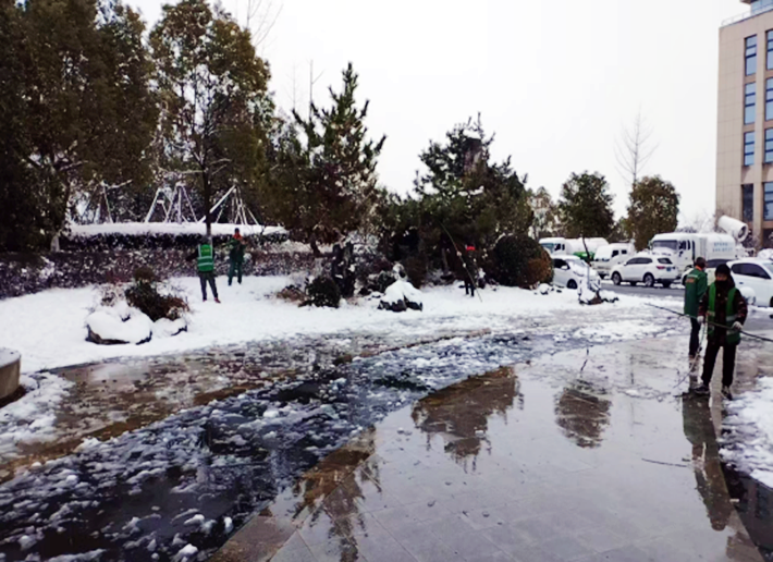 園林綠化中心全力做好雨雪寒潮天氣下的清理工作411.png