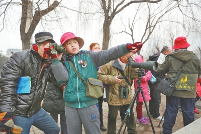 第19個世界濕地日 觀鳥愛好者昨日組織市民賞鳥