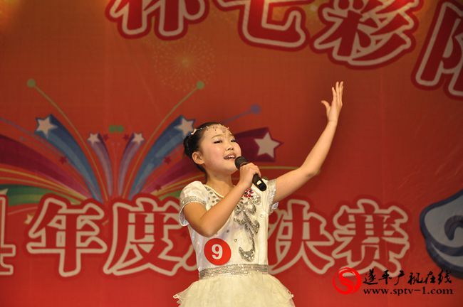 遂平“城中央”杯七彩陽(yáng)光才藝大賽2014年度總決賽掠影