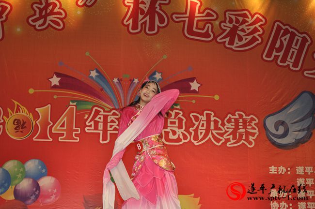 遂平“城中央”杯七彩陽(yáng)光才藝大賽2014年度總決賽掠影