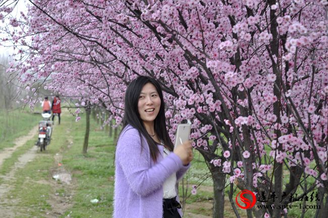 遂平：春天百花開(kāi) 游客賞花來(lái)