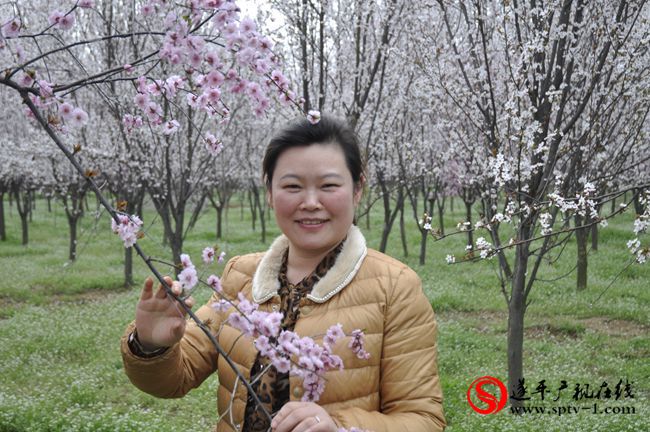 遂平：春天百花開(kāi) 游客賞花來(lái)