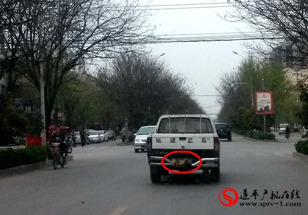 遮擋著車號(hào)牌的遂平城建監(jiān)察車咋就這么任性,？