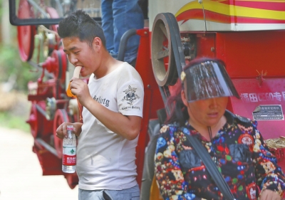 迎烈日,、睡麥地 現(xiàn)代“麥客”淘金路