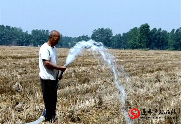 遂平：抗旱保苗掀高潮   確保秋糧豐收