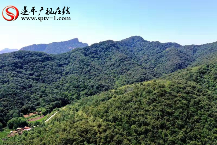 微信圖片_201909021601236_副本